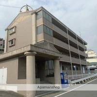 福岡県太宰府市向佐野1丁目の賃貸マンションの外観