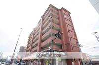 福岡県福岡市南区向野1丁目の賃貸マンションの外観