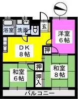 福岡県福岡市早良区原3丁目の賃貸マンションの間取り