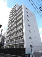 ベーシック・グローブの外観