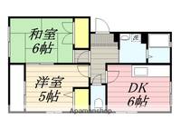 コーポイン三沢の間取り