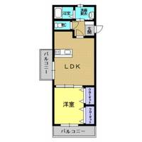 サンクチュアリ古町205の間取り