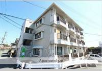 熊本県熊本市西区島崎2丁目の賃貸マンションの外観