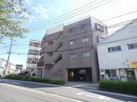 ビオラ210402の外観