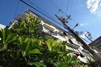 大阪府大阪市浪速区桜川1(マンション)の賃貸物件の外観