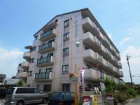 パープルソシアの外観