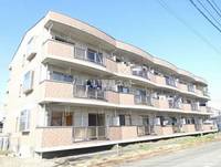 群馬県みどり市笠懸町鹿(マンション)の賃貸物件の外観