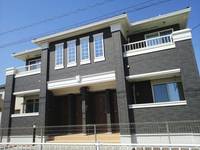 ブドウの木の外観