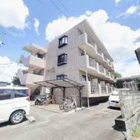 熊本県熊本市中央区琴平本町(マンション)の賃貸物件の外観