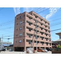栃木県宇都宮市中今泉5(マンション)の賃貸物件の外観