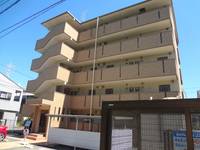 静岡県浜松市中央区植松町(マンション)の賃貸物件の外観