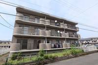 ステイゴールドの外観