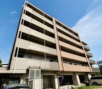 アレルヤの外観