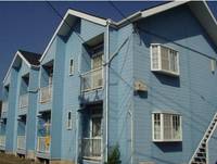 神奈川県伊勢原市桜台3(アパート)の賃貸物件の外観