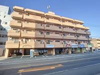 広島県東広島市西条町西条東(マンション)の賃貸物件の外観