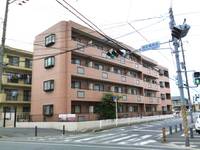 千葉県浦安市当代島1(マンション)の賃貸物件の外観