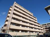 千葉県千葉市稲毛区小仲台6(マンション)の賃貸物件の外観