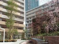 東京都江東区豊洲3(マンション)の賃貸物件の外観