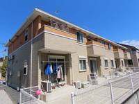 ミルトD (mild)の外観