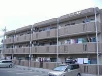 栃木県宇都宮市御幸ケ原町(マンション)の賃貸物件の外観
