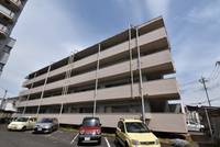 栃木県宇都宮市簗瀬4(マンション)の賃貸物件の外観