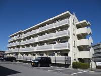 滋賀県彦根市竹ケ鼻町(マンション)の賃貸物件の外観