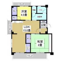 静岡県浜松市中央区鴨江3(マンション)の賃貸物件の間取り