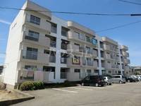 メゾン新川の外観