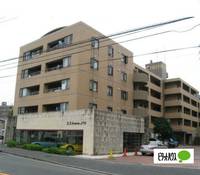 神奈川県横浜市旭区さちが丘(マンション)の賃貸物件の外観