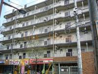 東京都葛飾区立石6(マンション)の賃貸物件の外観