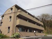 LILA高次の外観