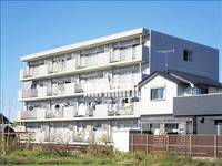 フロム・A・カイトの外観