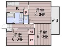 パナハイツ芳泉C棟の間取り