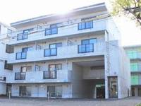 Seagull #N208の外観