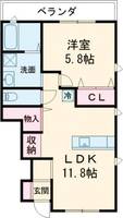 Amazing今村 A棟の間取り