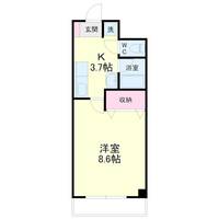 静岡県藤枝市田沼1(マンション)の賃貸物件の間取り