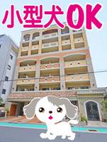 東京都墨田区菊川3(マンション)の賃貸物件の外観