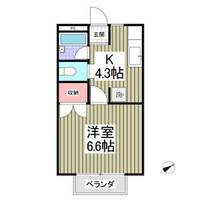 栃木県宇都宮市今宮3(アパート)の賃貸物件の間取り