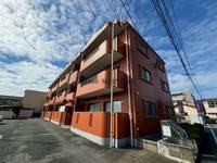 熊本県熊本市南区田井島2(マンション)の賃貸物件の外観