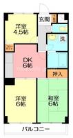 神奈川県横浜市泉区中田東4(マンション)の賃貸物件の間取り