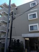 エクセリア二子多摩川IIの外観