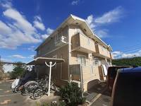 トゥルーランド錦 Dの外観