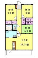 岡山県岡山市中区兼基(マンション)の賃貸物件の間取り