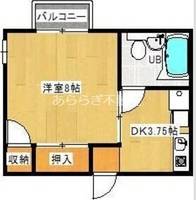 静岡県浜松市中央区城北2(アパート)の賃貸物件の間取り