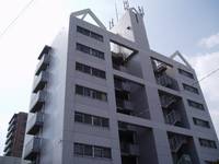 サンロイヤル大宮の外観