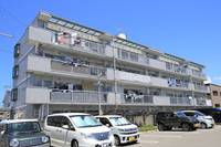 愛媛県松山市東長戸1(マンション)の賃貸物件の外観