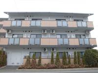 埼玉県川越市新宿町2(マンション)の賃貸物件の外観