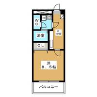 長野県松本市深志2(マンション)の賃貸物件の間取り