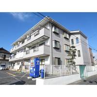 アンボアールN&Eの外観