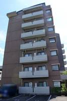 P・WAVE417の外観